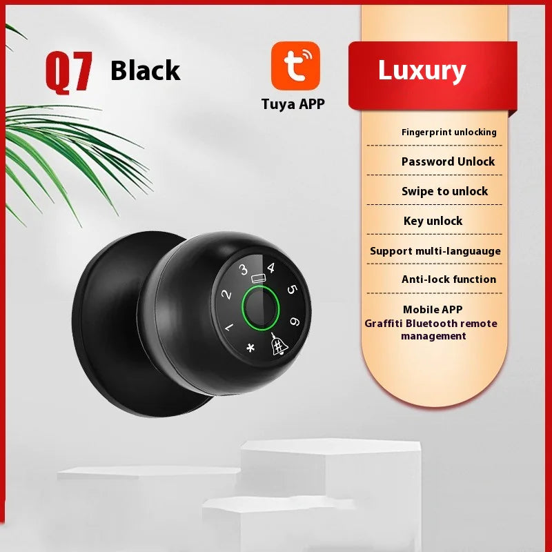 SecureTouch Smart Lock