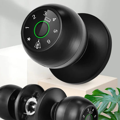 SecureTouch Smart Lock